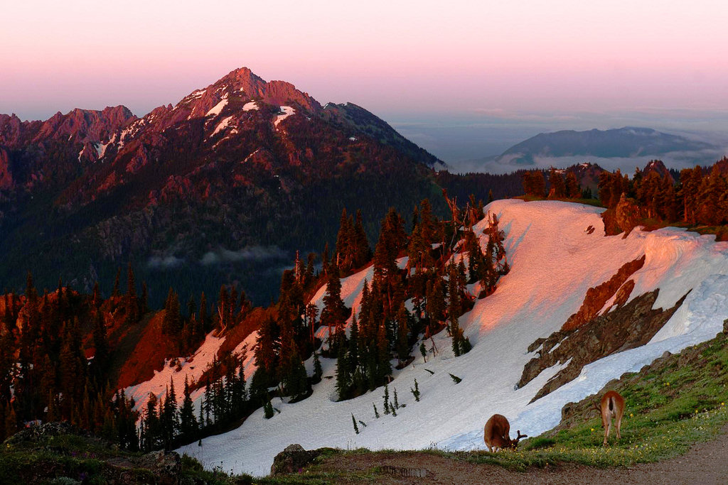 Hurrizan Ridge Hurricane Ridge Jigsaw Puzzle