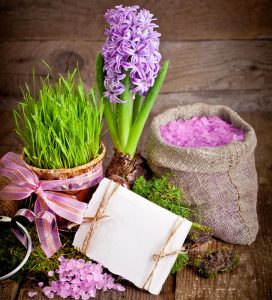 Hyacinth Bulb Jigsaw Puzzle