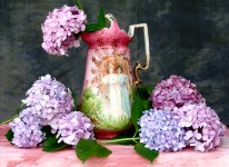 Hydrangeas and Pitcher