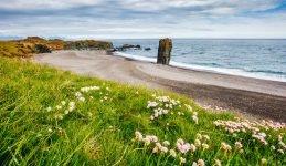 Iceland Beach