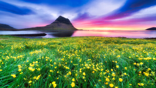 Iceland Meadow Jigsaw Puzzle