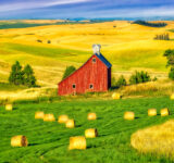 Idaho Barn