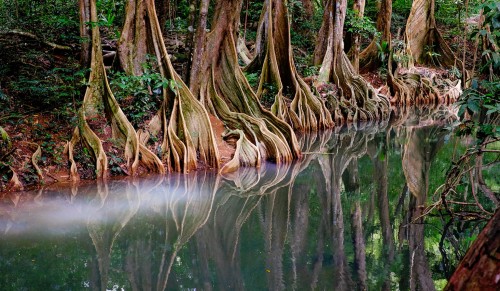 Indian River Jigsaw Puzzle