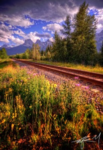 Into the Distance Jigsaw Puzzle