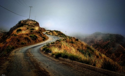 Into the Mist Jigsaw Puzzle