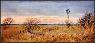 cornfield windmill