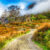 Ireland Cottage Ruins Jigsaw Puzzle