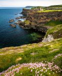 Irish Coast