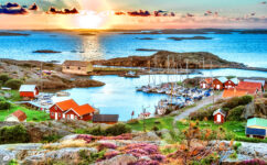Island Harbor Jigsaw Puzzle