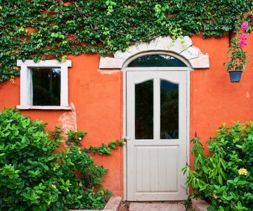 Ivy and Door Jigsaw Puzzle