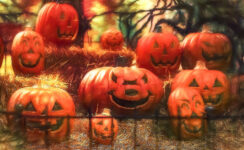 Jack-o-Lantern Gathering