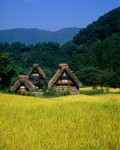 Japanese Houses