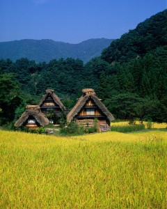 Japanese Houses Jigsaw Puzzle