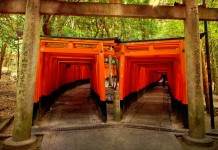 Japanese Shrine