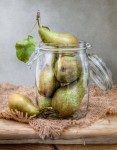 Jarred Pears