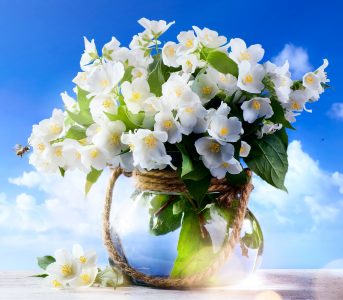 Jasmine Flowers Jigsaw Puzzle