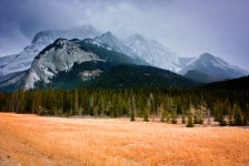 Jasper National Park