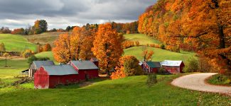 Jenne Farm