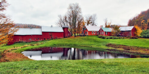 Jenne Farm Pond Jigsaw Puzzle