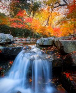 Jiuxi Waterfall Jigsaw Puzzle