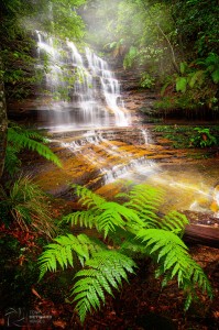 Junction Falls Jigsaw Puzzle