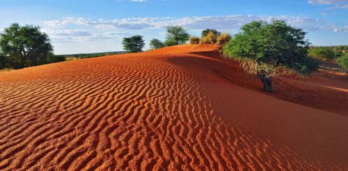 Kalahari Dune Jigsaw Puzzle