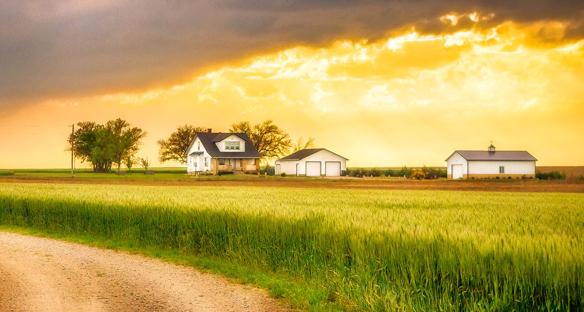 Kansas Wheat Jigsaw Puzzle