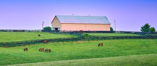 Kentucky Grazing