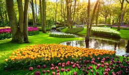 Keukenhof Gardens