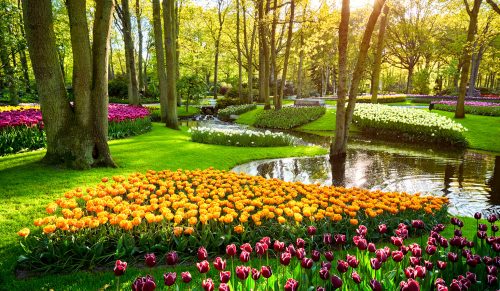 Keukenhof Gardens Jigsaw Puzzle