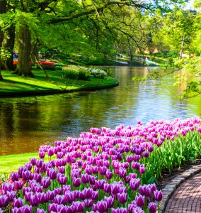 Keukenhof Park Jigsaw Puzzle