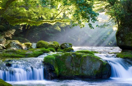 Kikuchi River Jigsaw Puzzle