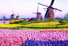 Kinderdijk Windmills