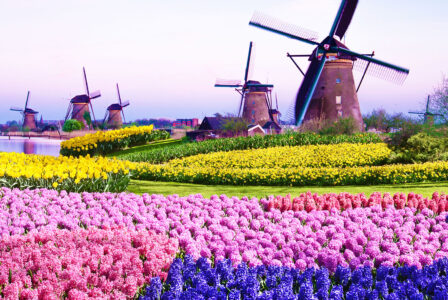 Kinderdijk Windmills Jigsaw Puzzle