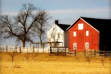 Klingle Farm