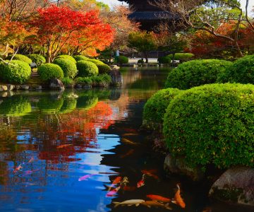 Koi Pond Jigsaw Puzzle