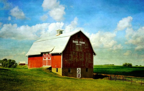 Koos Farm Jigsaw Puzzle