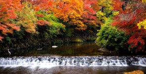 Kyoto Waterfall