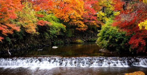 Kyoto Waterfall Jigsaw Puzzle