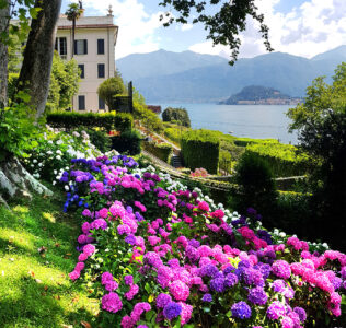 Lake Como Hydrangeas Jigsaw Puzzle