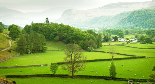 Lake District Jigsaw Puzzle