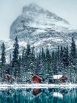 Lake O’Hara Cabins