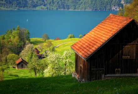 Lake Overlook Jigsaw Puzzle