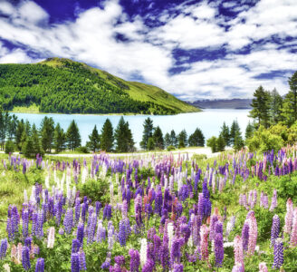 Lake Tekapo Jigsaw Puzzle