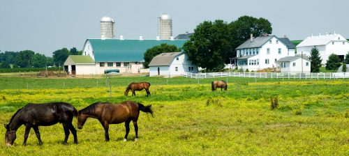 Lancaster County Jigsaw Puzzle