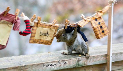 Laundry Day Jigsaw Puzzle