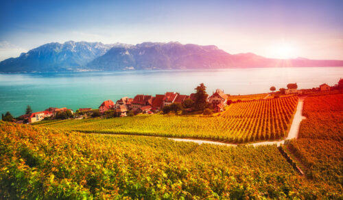 Lavaux Vineyards Jigsaw Puzzle