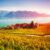 Lavaux Vineyards Jigsaw Puzzle