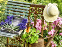 Lavender Arrangement