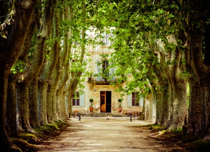 Le Château des Alpilles Jigsaw Puzzle